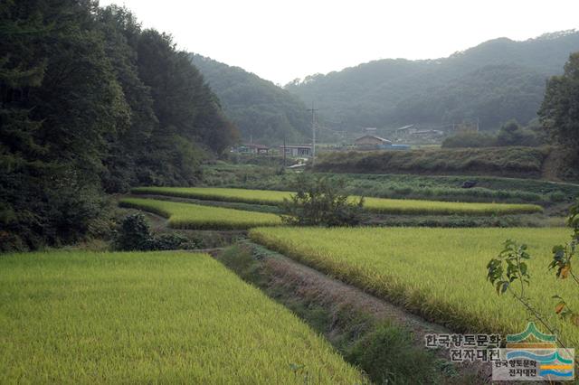 대표시청각 이미지