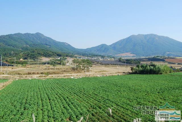 상금리