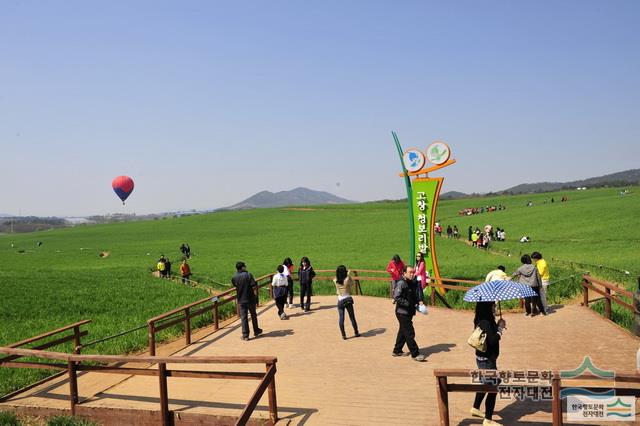 제7회 고창청보리밭축제
