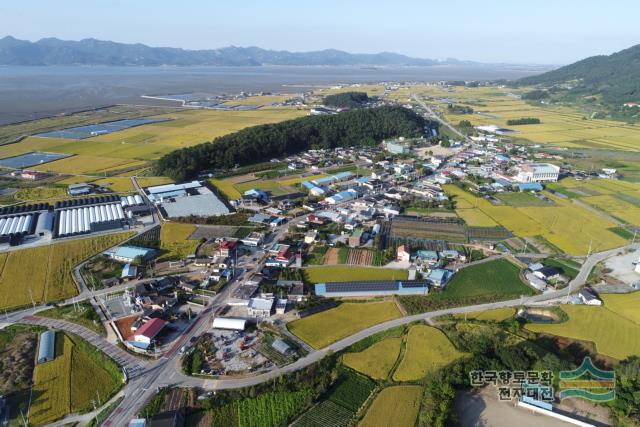 심원면 월산리,연화리