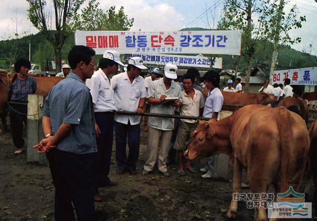 대표시청각 이미지