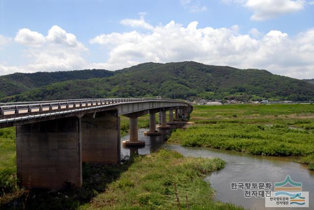 도진교