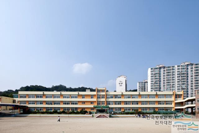 김천동부초등학교