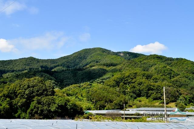 극락산 전경