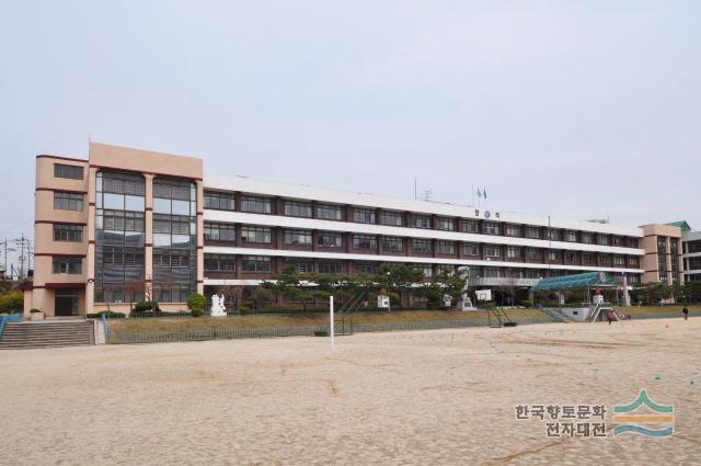 제천중앙초등학교