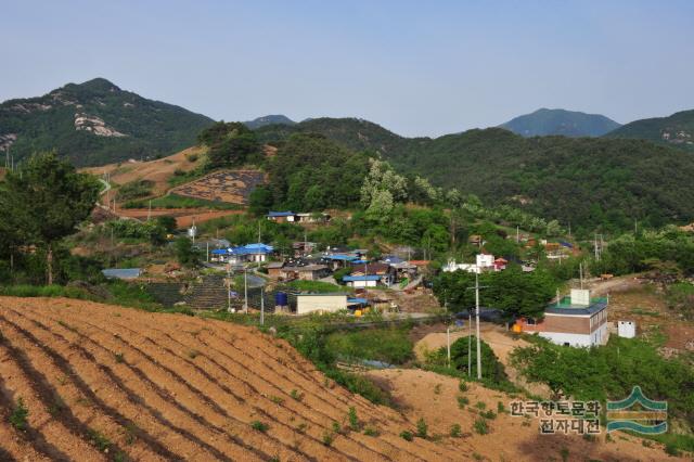 도화리