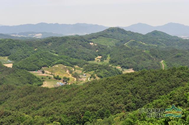 동막리