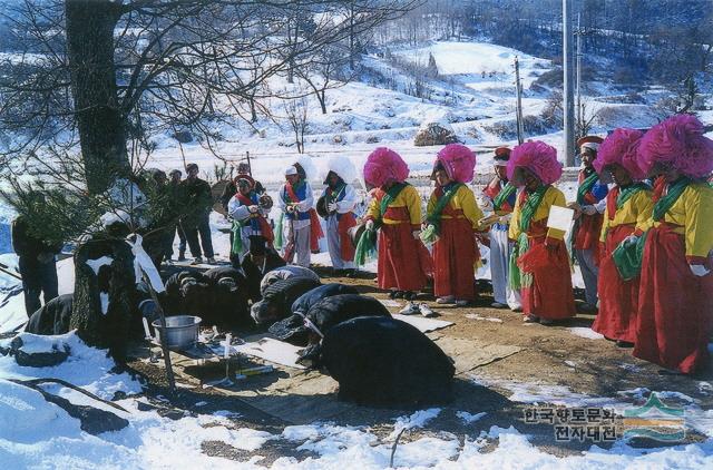 제천 오티 별신제