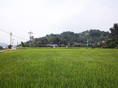 목도리 유물 산포지 썸네일 이미지