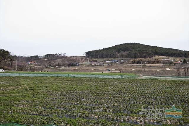 문양리