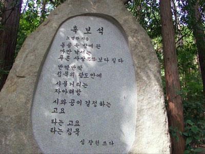 노영란 시비『흑보석』 썸네일 이미지