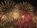 제8회 부산  불꽃 축제 썸네일 이미지