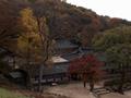 사상구의 문화유산 썸네일 이미지