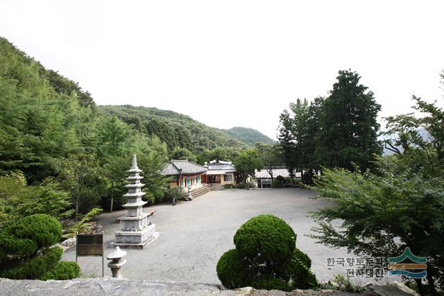 명월사 터