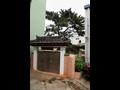 삼락동 당산 입구 썸네일 이미지