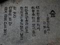 고두동의 시「숲」 썸네일 이미지