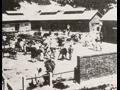 부산진 우시장[1930년대] 썸네일 이미지