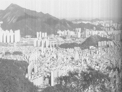 해운대 썸네일 이미지