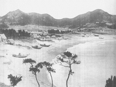 해운대 해수욕장 송림[1920년대] 썸네일 이미지
