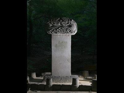 내주축성비 썸네일 이미지