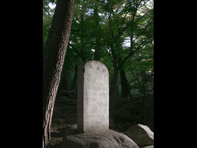 이섭교비 썸네일 이미지