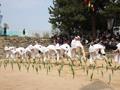 부산 민속 예술 축제 「수영 농청놀이 소리」 썸네일 이미지