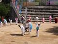 제45회 부산 민속 예술 축제 「수영 지신밟기」 썸네일 이미지
