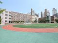 교리초등학교 썸네일 이미지