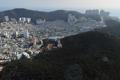 용호4동 썸네일 이미지