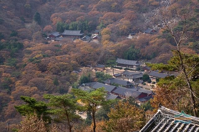 대표시청각 이미지