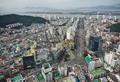 하단동 썸네일 이미지