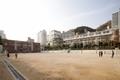 사하초등학교 썸네일 이미지