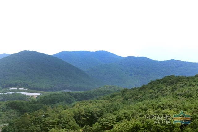 널밭재
