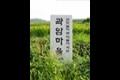 이곡리 곽암 마을 표지석 썸네일 이미지