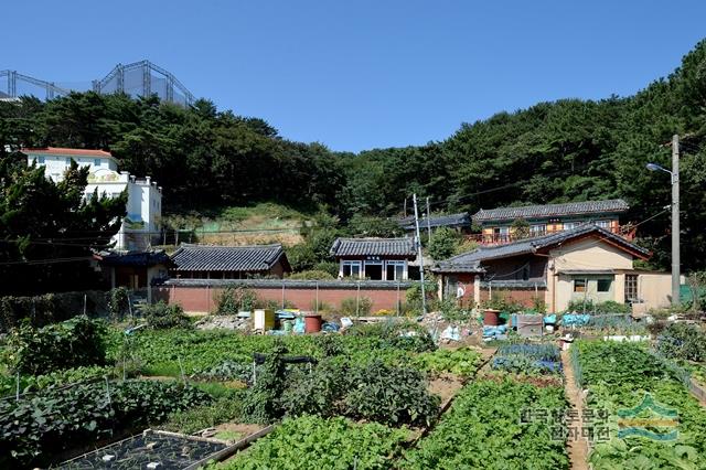 대표시청각 이미지