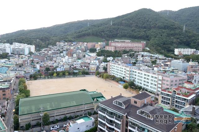 광안동 장대골 마을