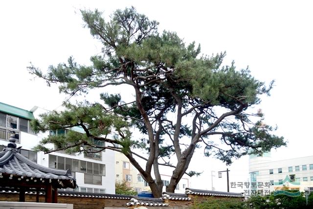 대표시청각 이미지