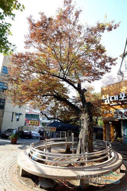 대표시청각 이미지