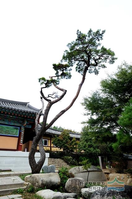 대표시청각 이미지
