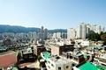 부곡동 금양 마을 썸네일 이미지
