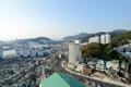 사하구 썸네일 이미지