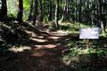 일광산 MTB 경기장 썸네일 이미지