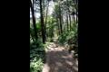일광산 MTB 경기장 썸네일 이미지