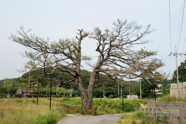 대표시청각 이미지