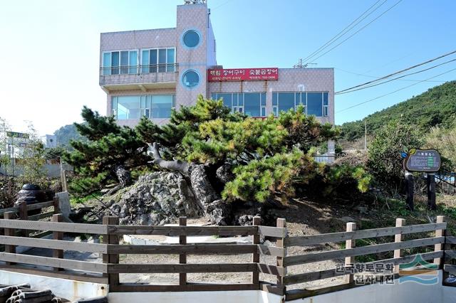 대표시청각 이미지