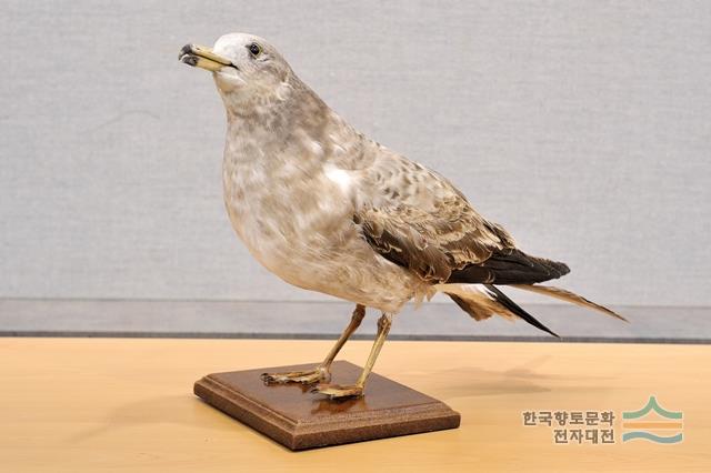 대표시청각 이미지