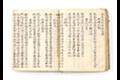 『도유록(島遊錄)』 - 『청산 도유록(淸山島遊錄)』 내지 썸네일 이미지