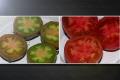 대저 토마토와 일반 토마토 썸네일 이미지