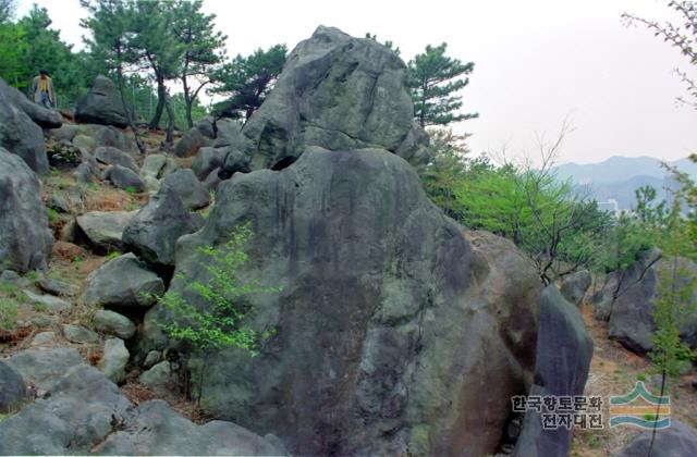 부산 전포동 구상반려암