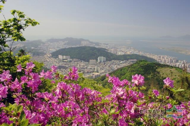 대표시청각 이미지